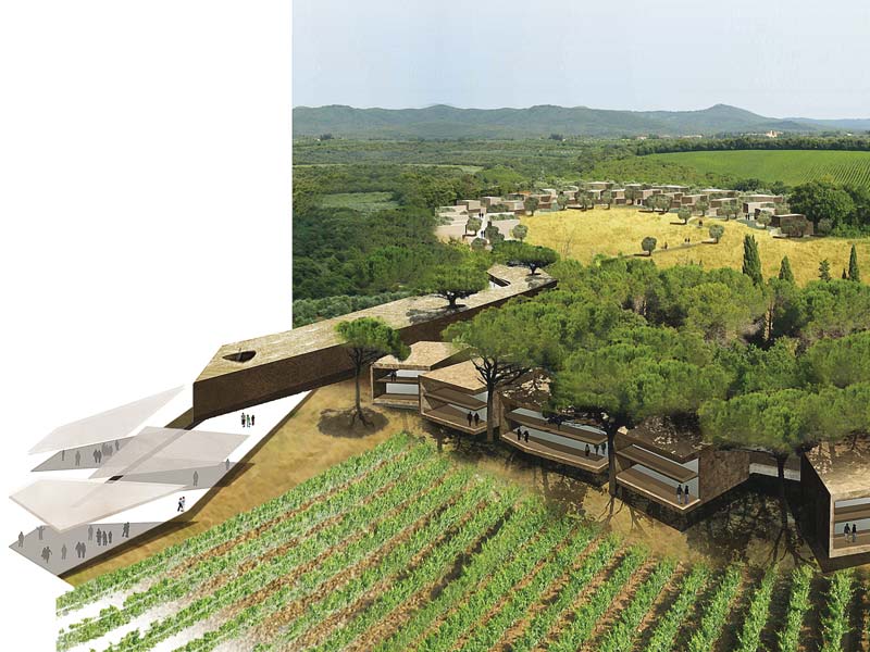 Luxury Wine and Oil Resort in Toscana